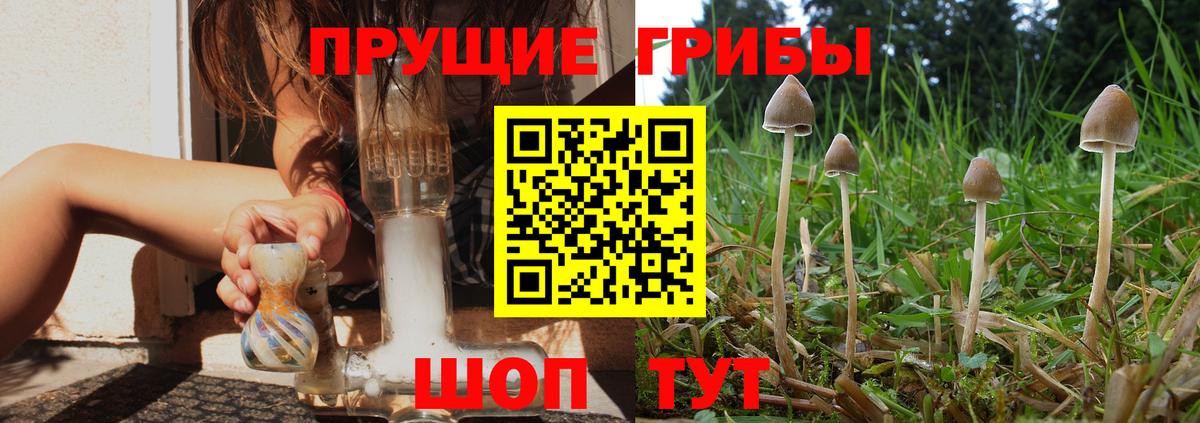 Красноуфимск  наркота  Вход с VPN  Галлюциногенные грибы GOLDEN TEACHER  Галлюциногенные грибы ЛСД 